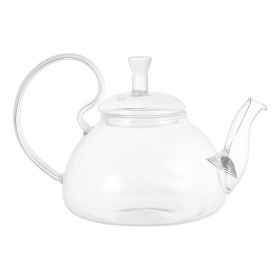 13.5oz/400 ml Glass Teapot with Removeable Metal Spout Hanging Spring