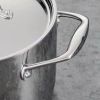 5-Quart Stainless Steel Dutch Oven with Lid - Oven and Cooktop Safe