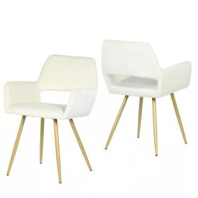 Set of 2 Modern Ivory Velvet Upholstered Dining Chair with Gold Metal Legs